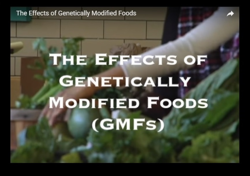 The Effects of Genetically Modified Foods