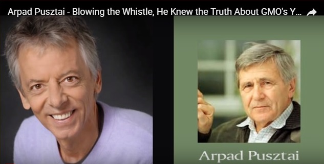 image dr arpod pusztai