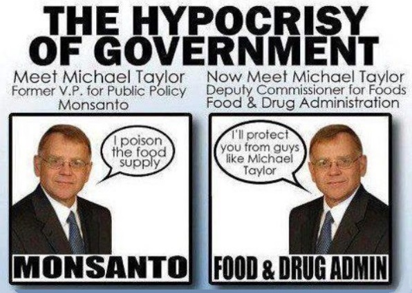 image michael taylor hyprocat